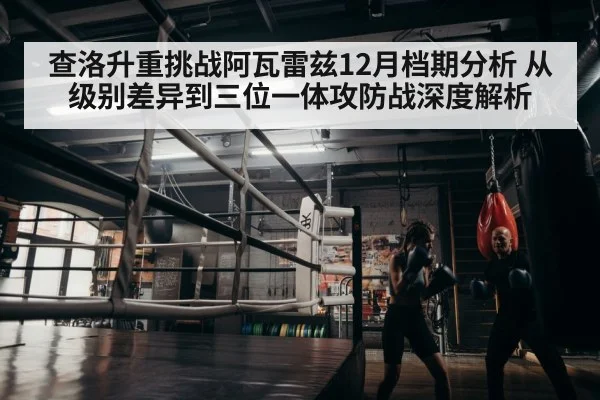 boxer training